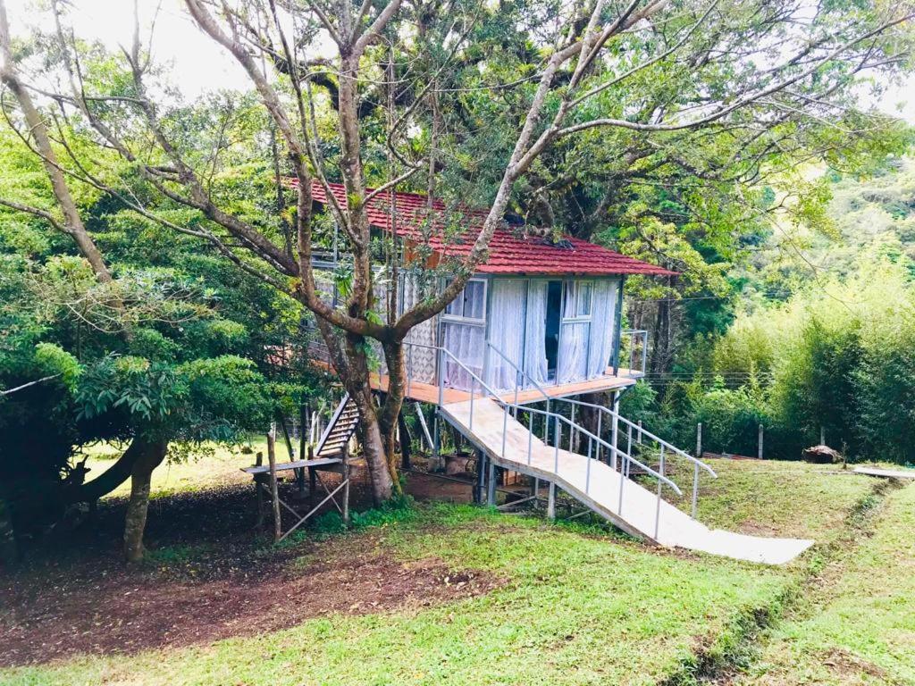 Cabana Treehouse Mountain View San Isidro  Ngoại thất bức ảnh