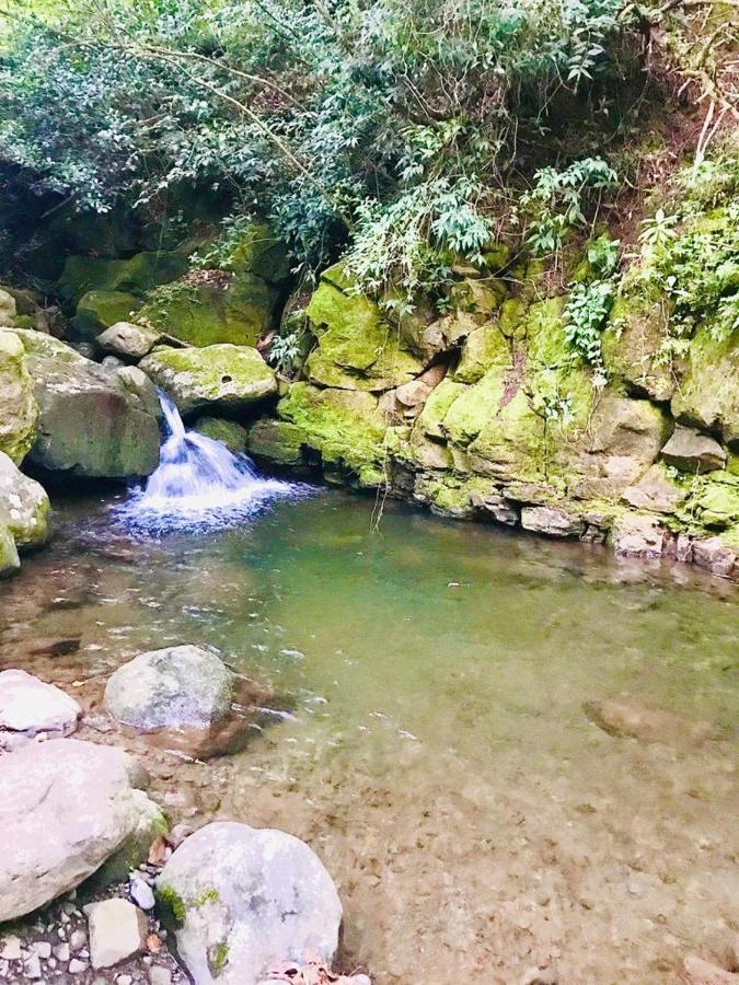 Cabana Treehouse Mountain View San Isidro  Ngoại thất bức ảnh