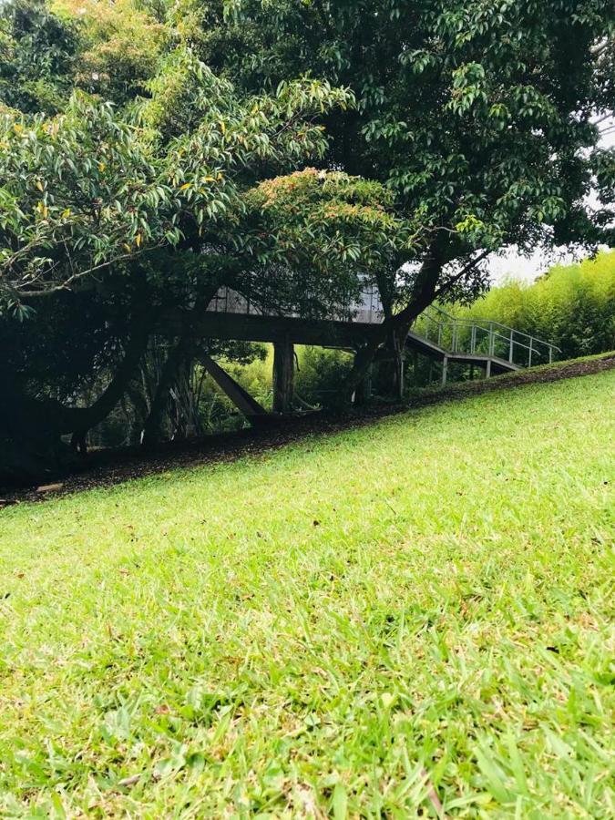 Cabana Treehouse Mountain View San Isidro  Ngoại thất bức ảnh